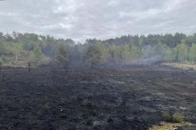Zicht op een afgebrand gebied met verspreide rook en enkele groene bomen op de achtergrond.