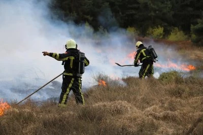 Brandweermensen blussen heide in een rookvolle omgeving.